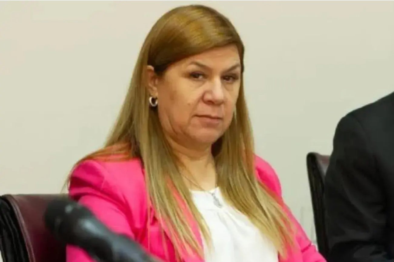 ficha limpia frente a cano