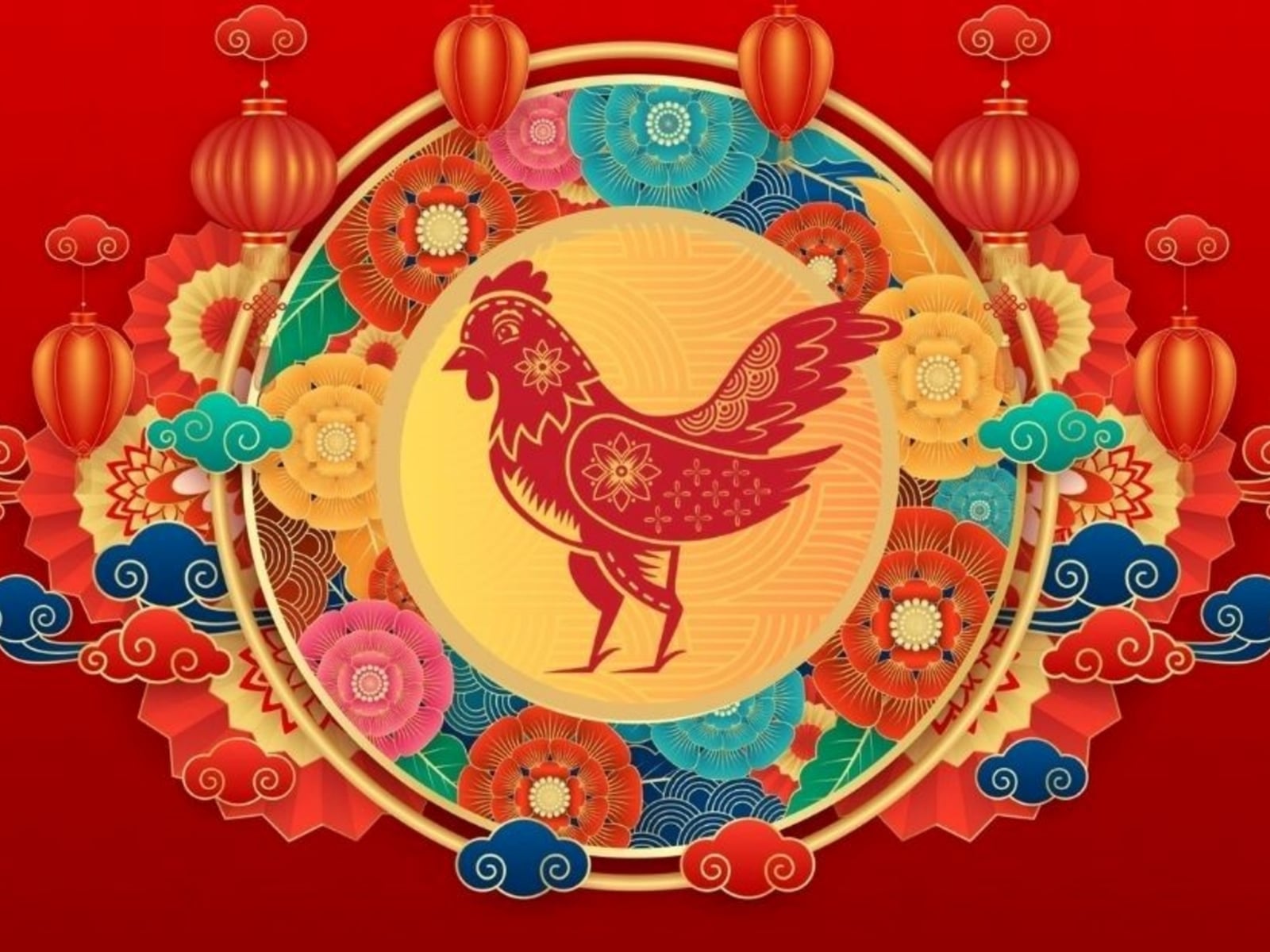 Gallo 6