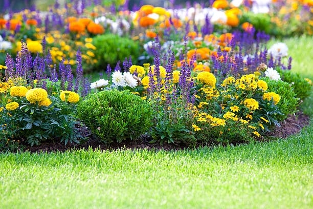istockphoto-106380084-612x612