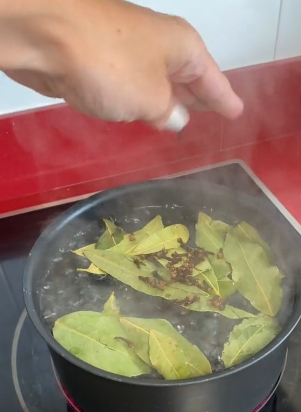cucarachas2