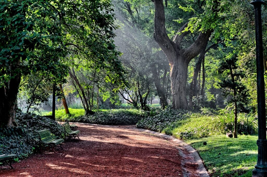 jardin-botanico-cinco--1024x680