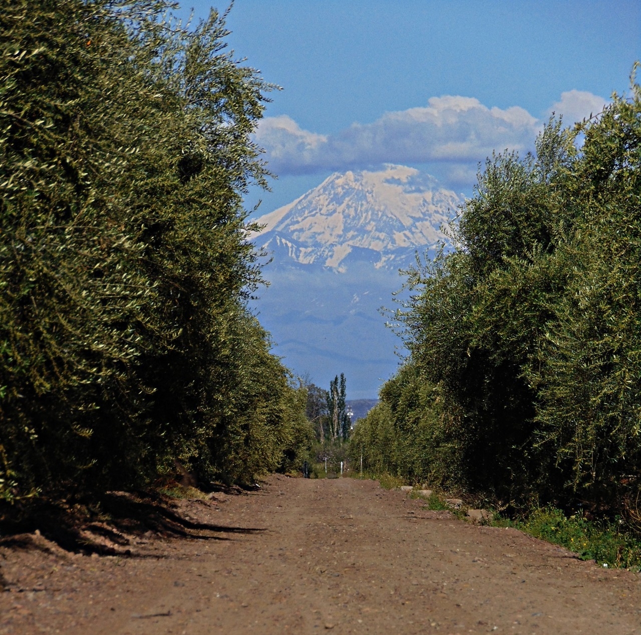 IMG-20231128-WA0034