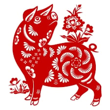 Cerdo 8
