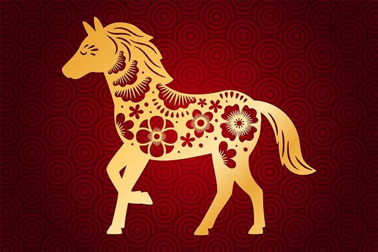 Caballo 6