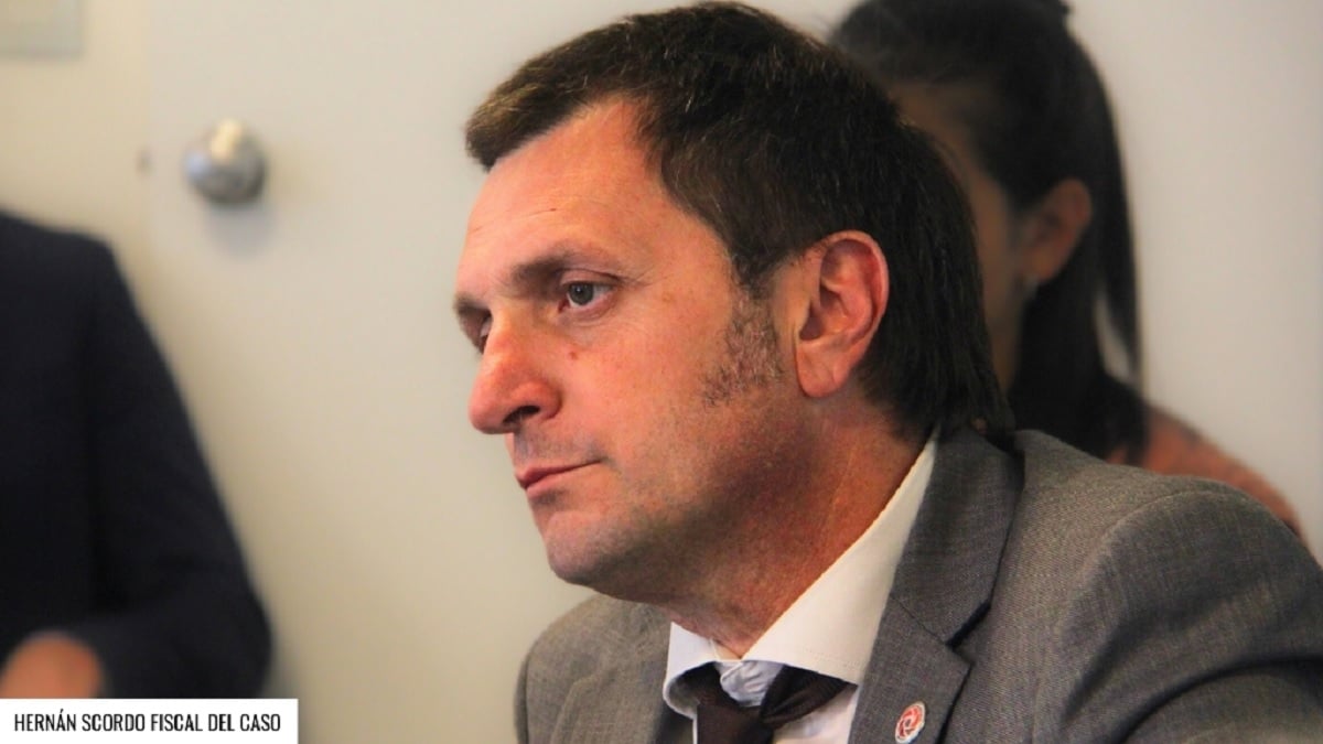 hernan scordo fiscal smandes