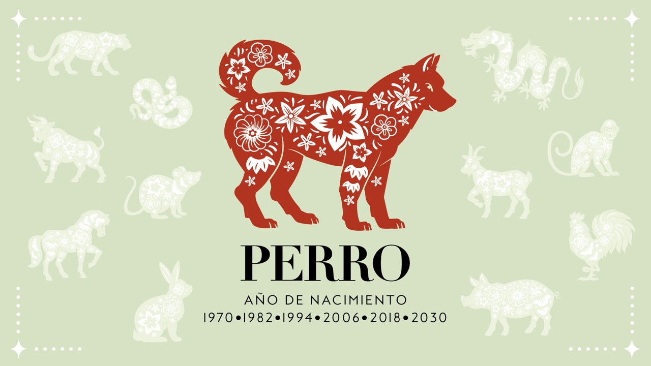el-horoscopo-chino-perro_ca1b774f_231109114344_1280x720
