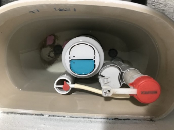 inodoro 3