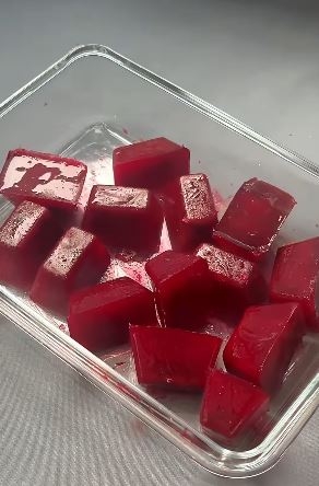 GV5444