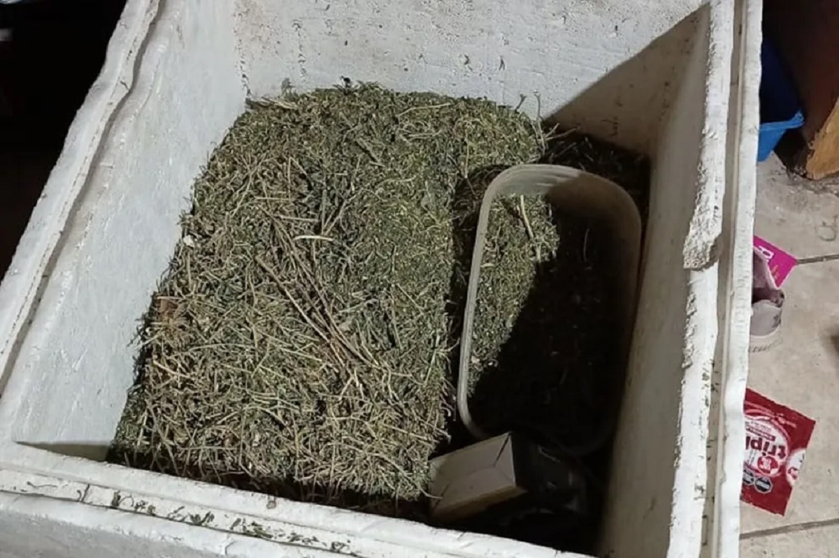 marihuana en el oeste