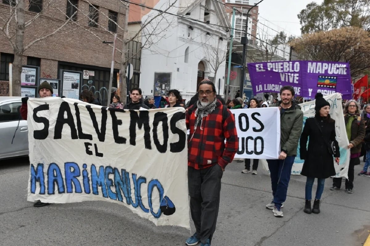 salvemos al marimenuco marcha