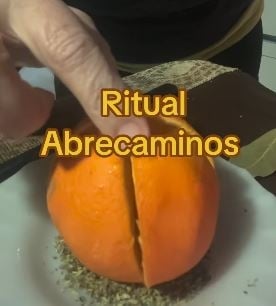 ritu88