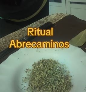 ritu99