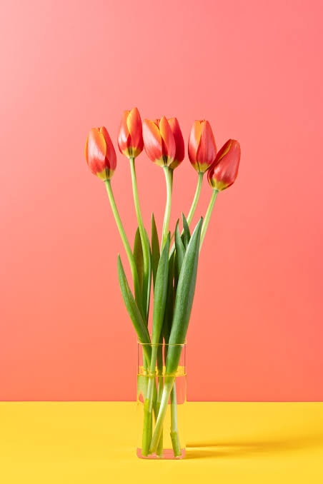 images (2) (4)