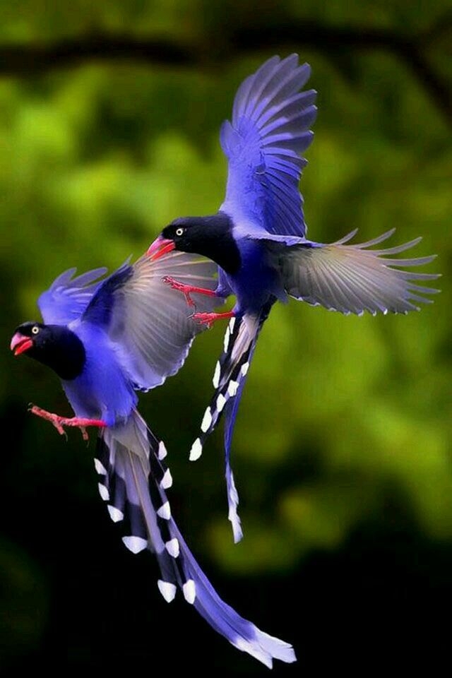 1ffbce3d78e70bcebea2e28a264dced6
