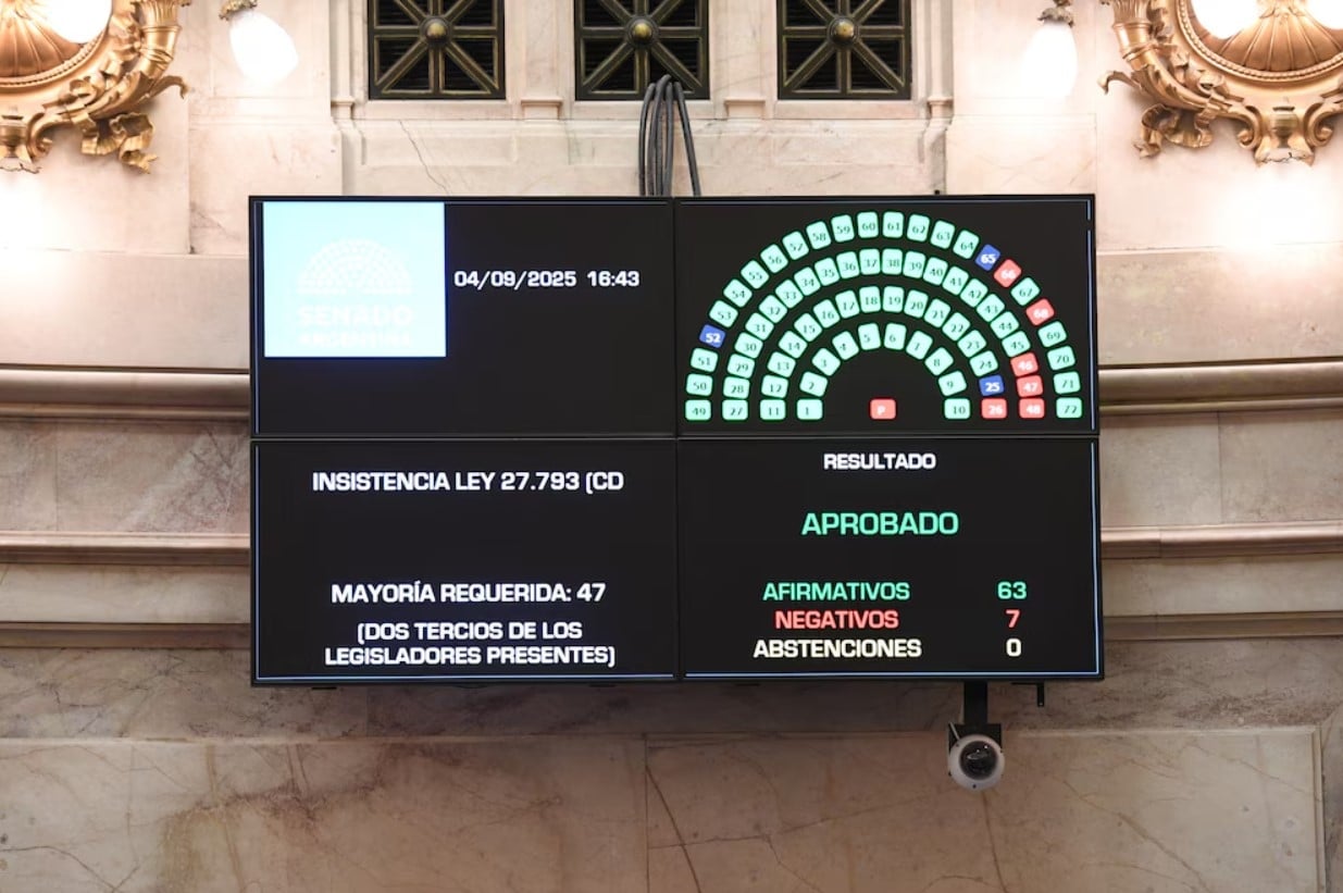 discapacidad infobae