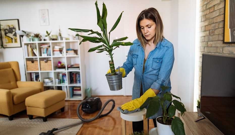 hogar planta casa