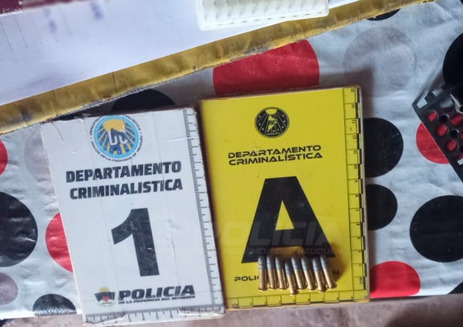 Secuestro de municiones tras los enfrenatmientos en Z1. Fuente (Policía del Neuquén)