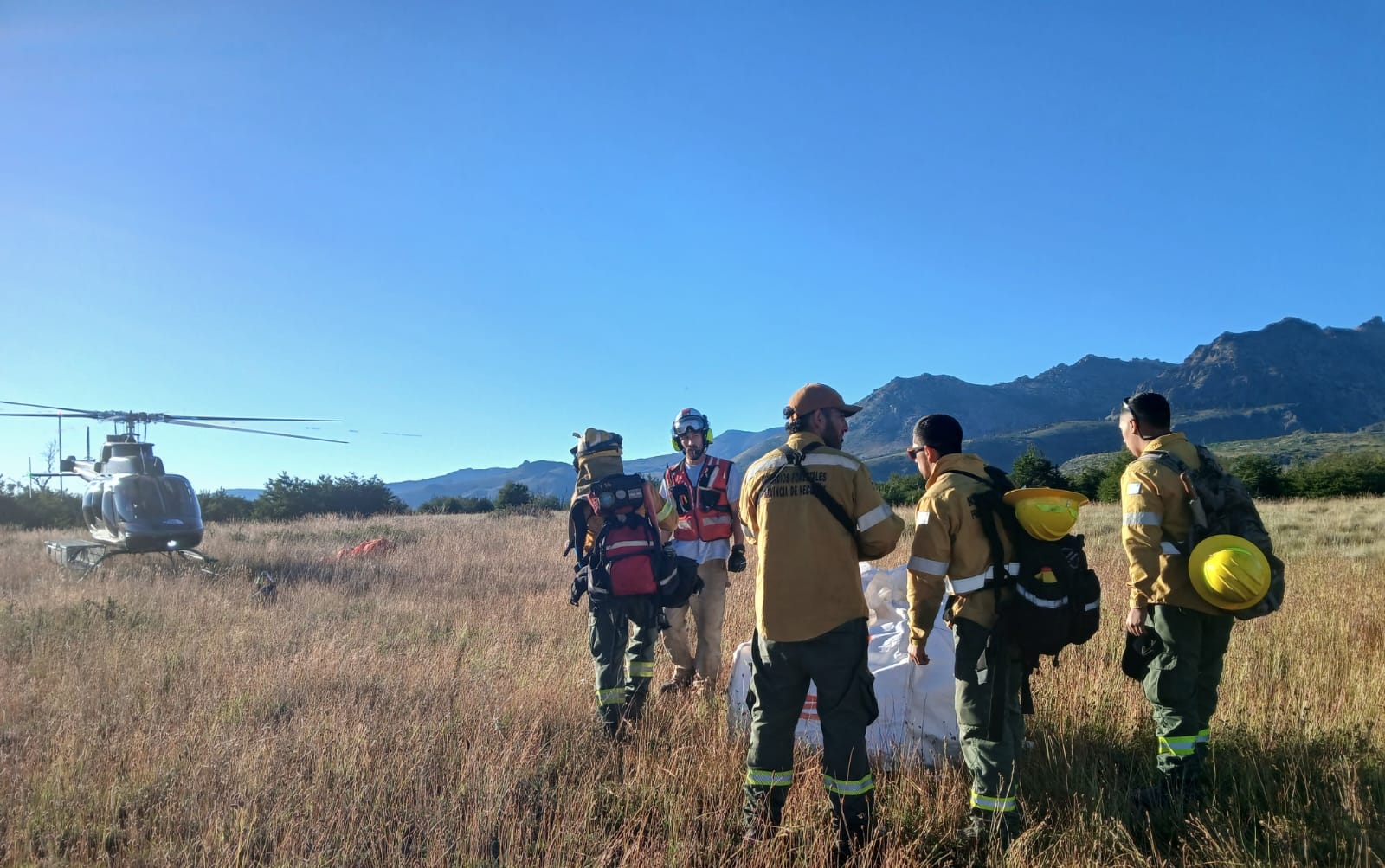 Trabajo para controlar el fuego en el Parque Nacional Lanin. Fuente (Facebook)