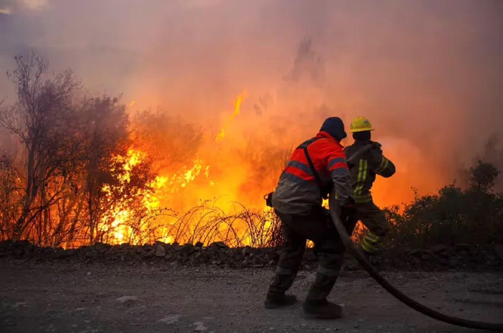 Bomberos
