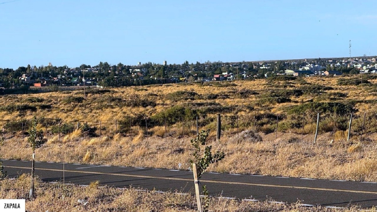 ciudad de zapala