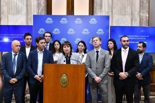 PATRICIA-BULLRICH-PRESENTA-PUNTOS-DE-LA-REFORMA-EN-EL-SENADO-FOTO-JUAN-VARGAS-NA-500x333