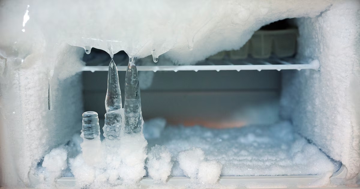 freezer