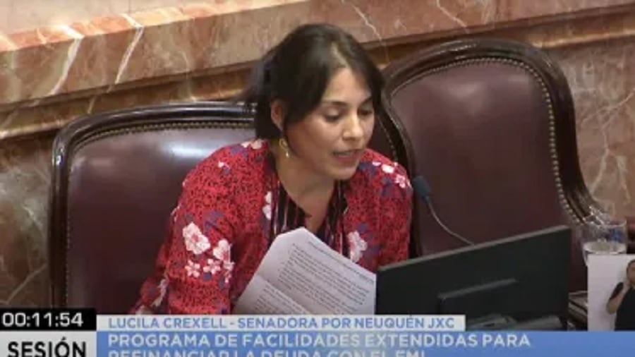 lucila crexell ley bases