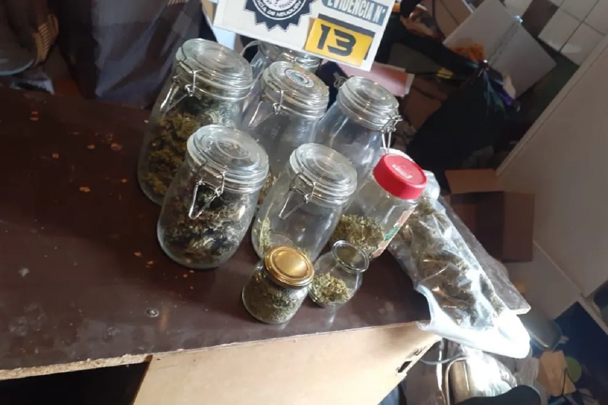 24 kilos de marihuana 2