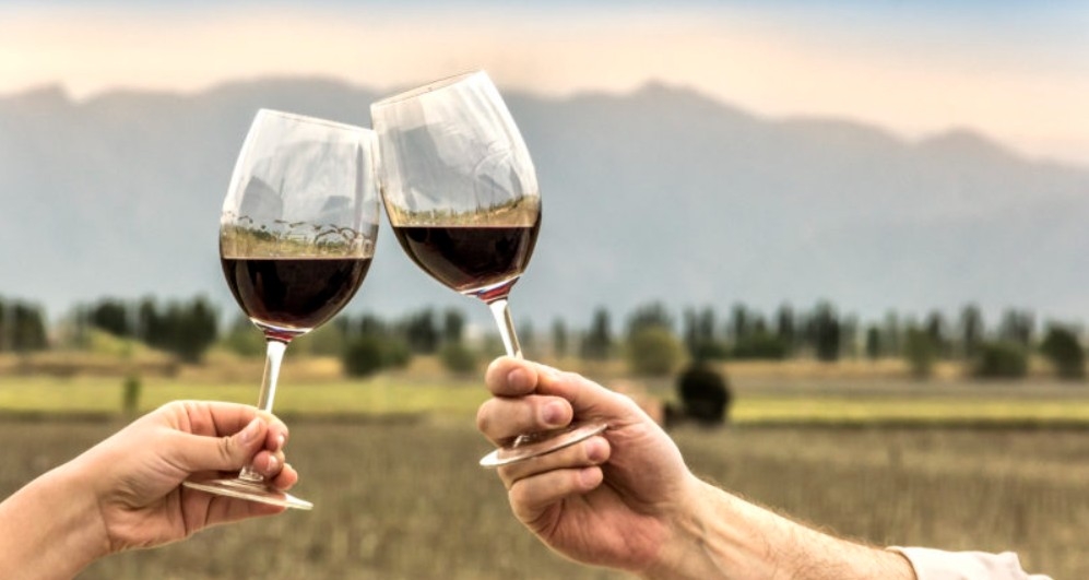 malbec bodegas de argentina