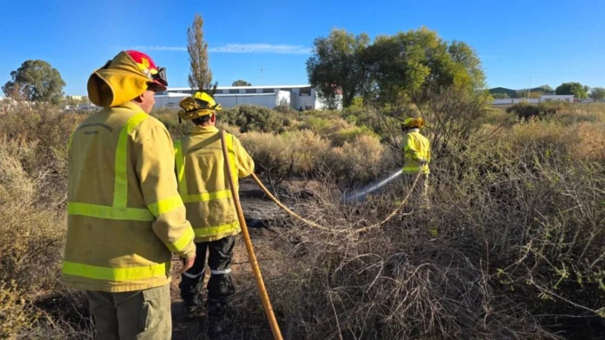 Bomberos Voluntarios de Centenario apagan un incendio en un predio cercano a Ruta 7. Fuente_ (Alerta Digital)