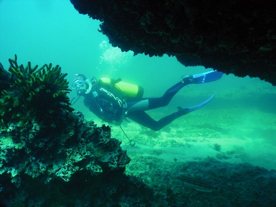 buceo