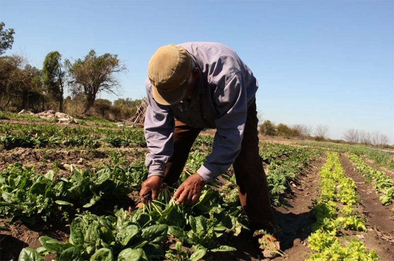 Campo-TrabajadorRural-347