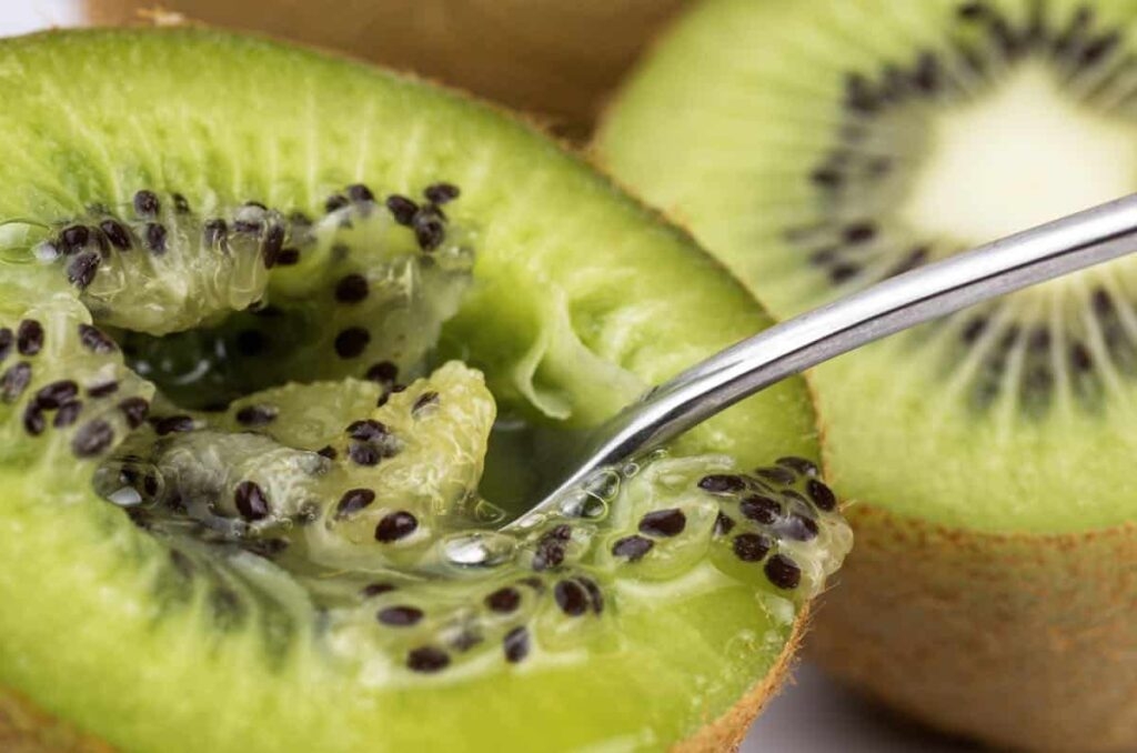 Kiwi-semillas-1024x678