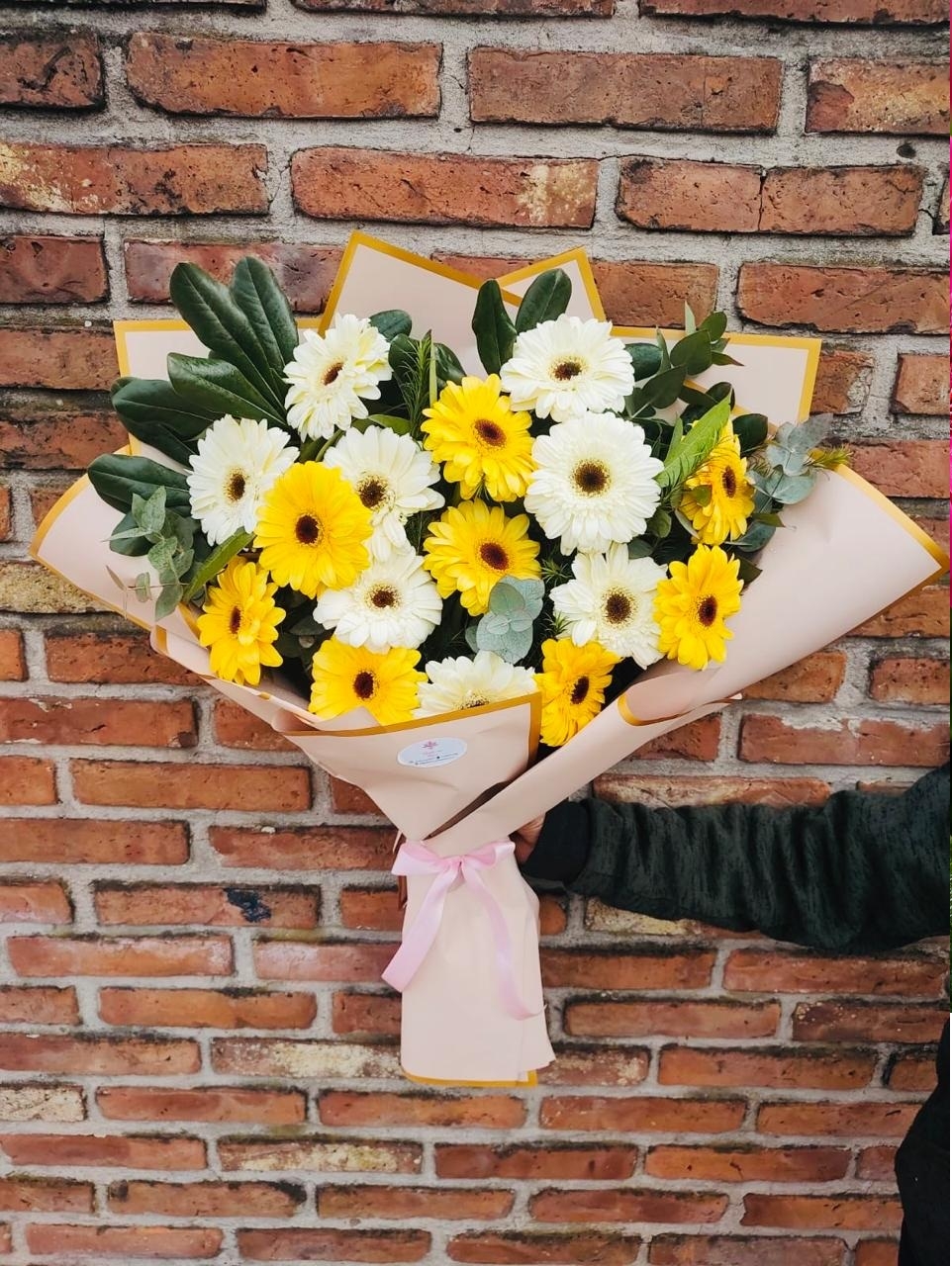 gerbera