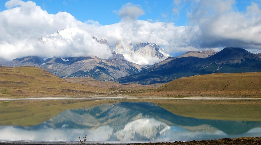 dragon-de-la-patagonia